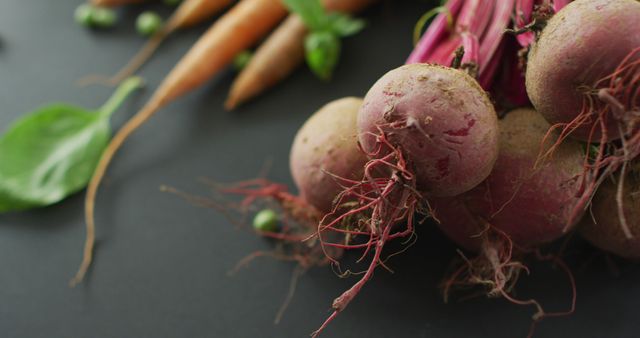 Bunches of freshly harvested beetroots and carrots, intertwined with leafy greens, presented on dark surface. Great for advertising farmer's markets, promoting healthy lifestyle articles, or creating organic food posters.