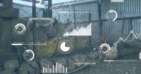 Innovative Farm Combined with Digital Financial Interface - Download Free Stock Images Pikwizard.com