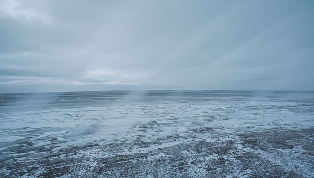 Frosted shoreline stretching to low horizon under overcast sky, desolate winter coast