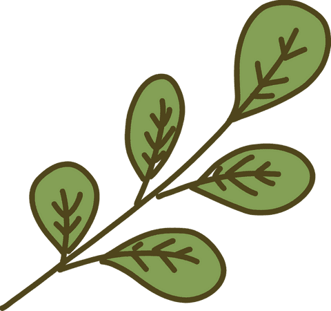 Stylized Botanical Branch with Green Oval Leaves on Transparent Background