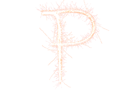 floral letter p added with botanical elements and transparent background - Download Free Stock Videos Pikwizard.com