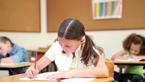 Engaged Schoolchildren Studying in Classroom Environment