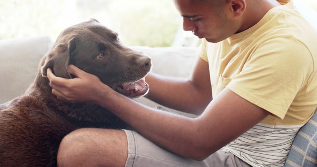 Young man bonding with his chocolate Labrador retriever, sitting indoors on a sofa. He gently holds the dog's face, showing a strong companionship and affection. Ideal for themes of pet ownership, companionship, dog care, and human-animal relationships. Can be used for pet care articles, advertising, website headers, and blogs about dogs and their owners.