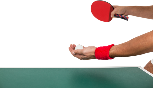 Athlete Preparing Table Tennis Serve Isolation on Transparent Background - Download Free Stock Videos Pikwizard.com