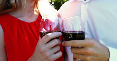 Couple Clinking Wine Glasses Outdoors