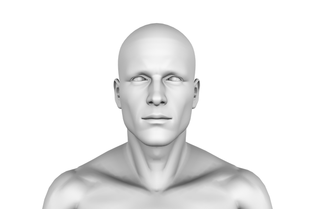 Digital 3D Model of Human Head and Shoulders on Transparent Background - Download Free Stock Videos Pikwizard.com