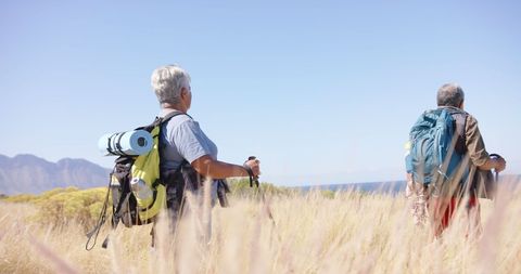 Senior couple hiking in sunny coastal grasslands
