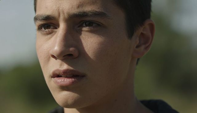 Gazing teenage male headshot wearing hoodie with sunlit skin, contemplative outdoor portrait