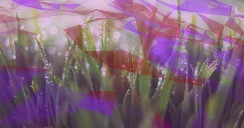 Abstract Dewy Grass with Purple Geometric Overlay