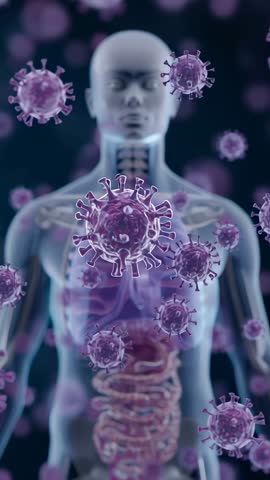 Drifting purple virus particles circling 3D torso revealing lungs and intestines vertical video