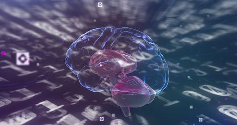 Rotating Digital Brain Overlay with Dynamic Binary Code - Download Free Stock Images Pikwizard.com