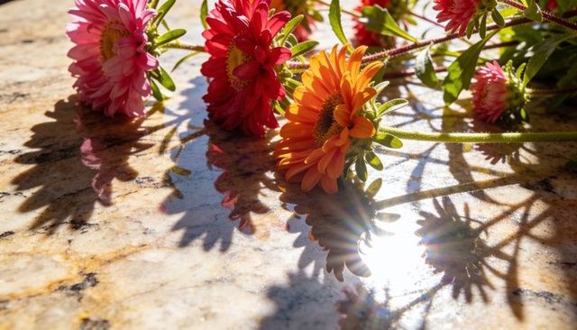 Sunlit gerbera daisies casting dramatic shadows on polished stone countertop with sunburst