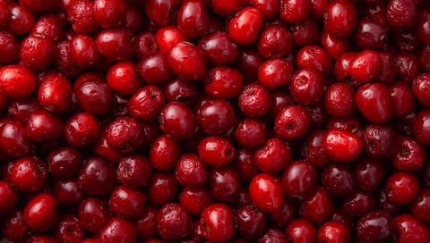 Glittering Cranberries Close-Up Showing Dewy Gloss and Rich Scarlet Macro Texture
