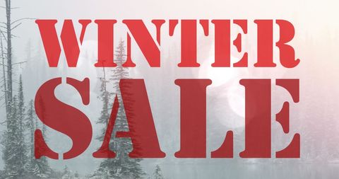Winter Sale Promotion with Scenic Forest Background