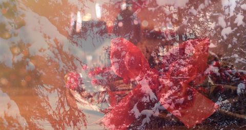 Festive Decor with Snow and Red Accents Overlay - Download Free Stock Images Pikwizard.com