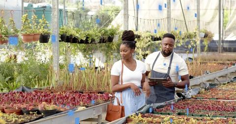Greenhouse staff guiding customer using tablet among succulents and hanging plants