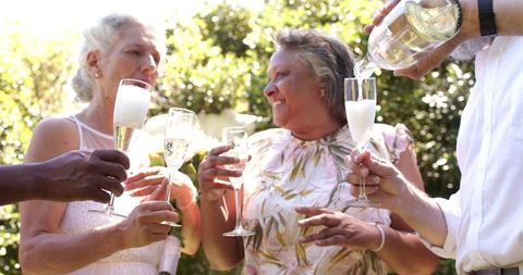 Senior Friends Toasting Champagne at Outdoor Wedding Celebration