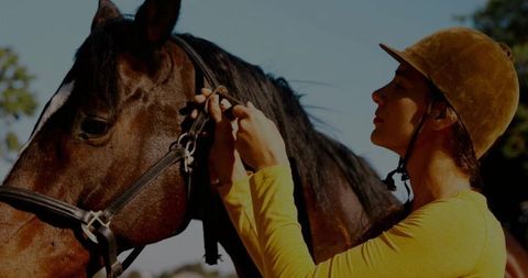 Equestrian Sport Woman Adjusting Bridle on Brown Horse