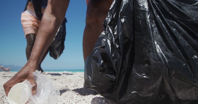 People Collecting Trash During Beach Clean-Up - Download Free Stock Images Pikwizard.com