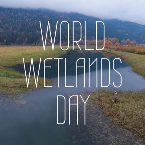 Serene mountain wetland landscape with world wetlands day text