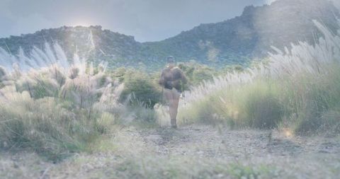 Hiker Exploring Serene Mountain Valley Trail with Lush Vegetation