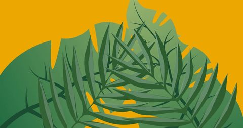 Abstract Green Leaves On Vibrant Yellow Background - Download Free Stock Images Pikwizard.com