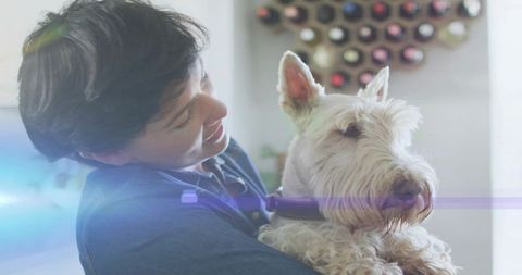 Woman holding white terrier with purple collar in sunlit home, cozy pet bonding moment