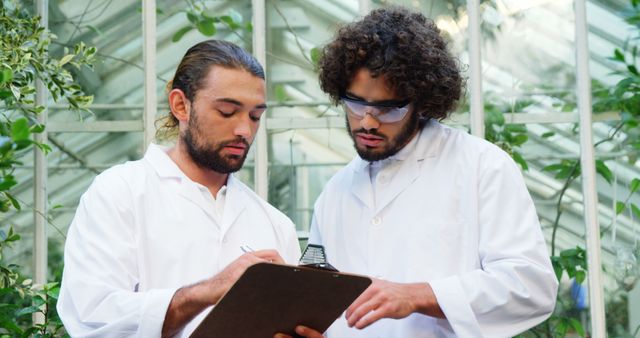 Two focused diverse male scientists making notes on clipboard in greenhouse. Nature, botany, ecology, horticulture, science and research, unaltered.