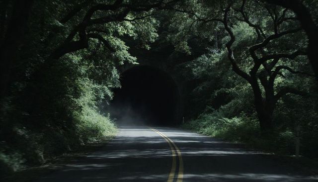 Sun-dappled forest road leading into dark tunnel under oak canopy, misty moody dusk