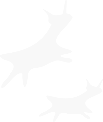 Abstract organic splatter shapes on transparent background