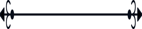 Black Decorative Horizontal Line with Ornate Shapes on Transparent Background - Download Free Stock Videos Pikwizard.com