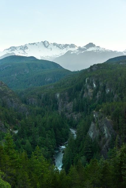 View featuring dense pine forests surrounding flowing river with mountains in background. Ideal for promoting travel destinations, natural retreats, environmental campaigns, outdoor adventure activities, and nature conservation efforts.