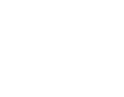 transparent white tree illustrations on clear background - Download Free Stock Videos Pikwizard.com