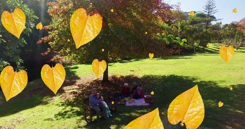 Autumn Leaves Falling in Sunlit Park
