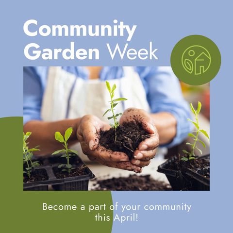 Community Garden Week Promotion with Hand Planting Seedling - Download Free Stock Templates Pikwizard.com