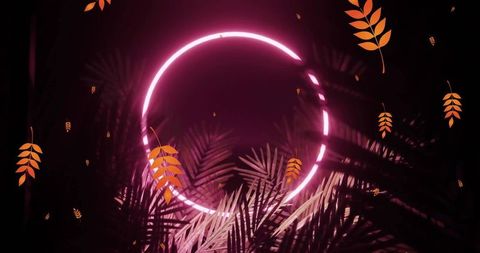 Neon Circular Glow with Tropical Leaves Overlays