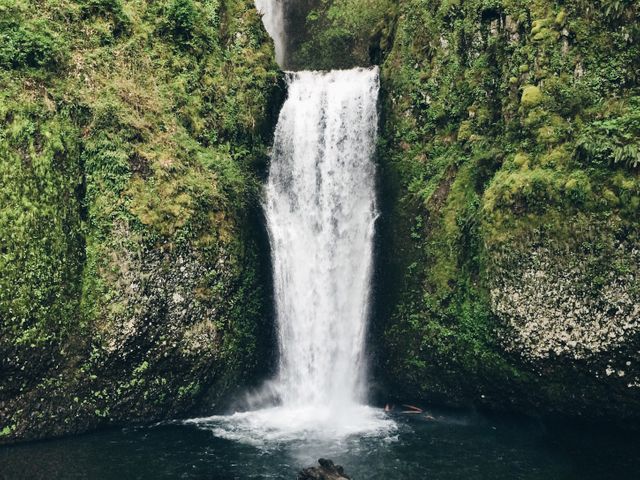 Perfect for promoting travel and ecotourism destinations, creating nature-themed advertisements, or adding calming nature visuals to presentations. The cascading waterfall surrounded by greenery captures the essence of untouched wilderness and natural beauty.