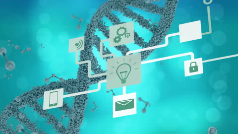 Digital Interface Over DNA Strand