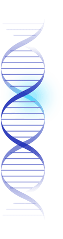 flat design dna double helix on transparent background - Download Free Stock Videos Pikwizard.com