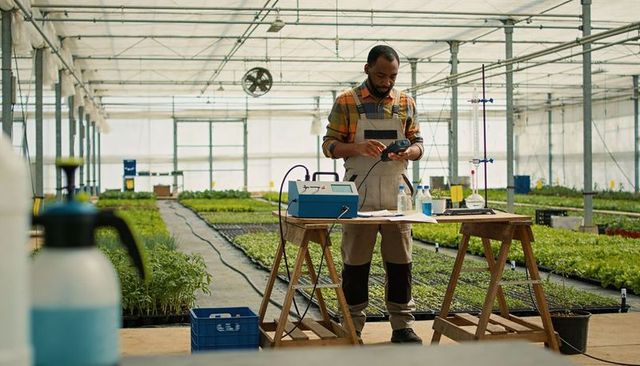 Monitoring greenhouse seedlings with handheld meter and data logger in commercial nursery
