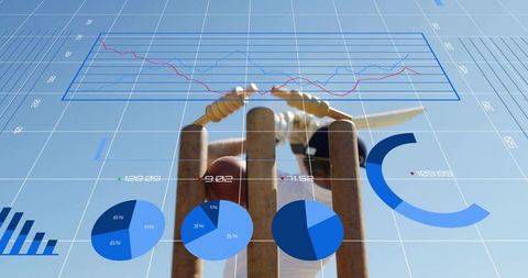 Cricket analytics overlay showing stumps, bat and red ball with charts, graphs and stats