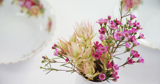 Featuring pink wax flowers and spiked protea in a vase, positioned on a white table. Ideal for use in interior decor concepts, floral arrangement presentations, wedding decorations, or seasonal themes highlighting pink and green hues in a minimalistic setting.