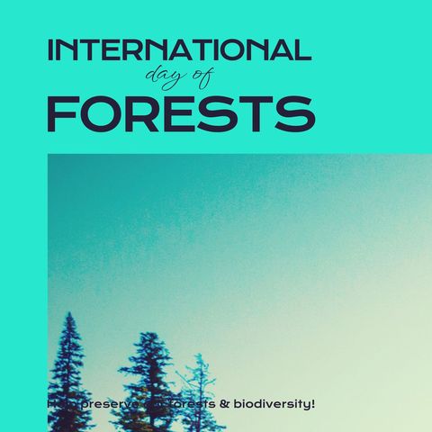 Environmental Awareness on International Day of Forests - Download Free Stock Templates Pikwizard.com