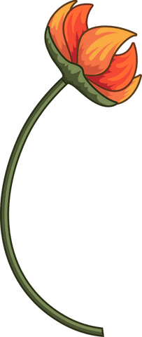 Stylized transparent orange tulip on curved stem illustration