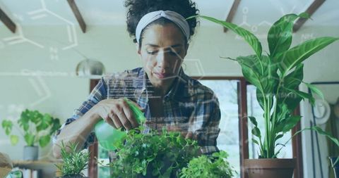 Woman Caring for Indoor Potted Plants with Spray Bottle