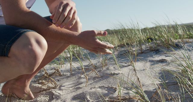 Hands Sifting Through Sand on Grassy Dunes - Download Free Stock Images Pikwizard.com