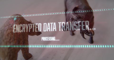 Concept of Encrypted Data Transfer with Financial Themes