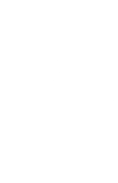 Silhouette of Sportsman Lifting Weight on Transparent Background Illustration - Download Free Stock Videos Pikwizard.com