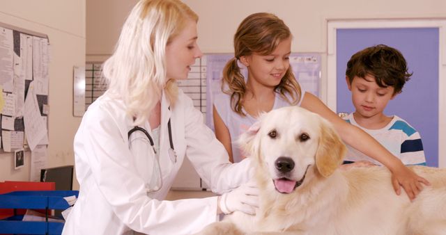 Children visiting veterinarian with their golden retriever. Girl and boy smiling while vet examining dog, showcasing a friendly and professional animal clinic environment. Perfect for promoting veterinarian services, children's educational materials on pet care, and animal health awareness campaigns.