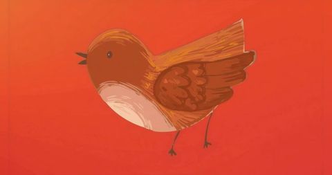 Colorful playful bird illustration on vibrant orange background